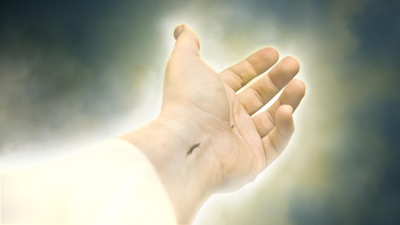slider2-img1.jpg